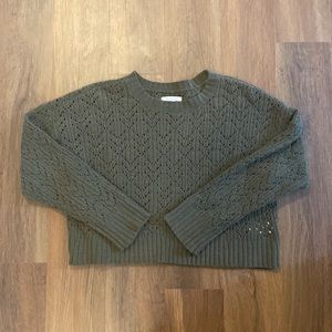 Cropped American Eagle Sweater